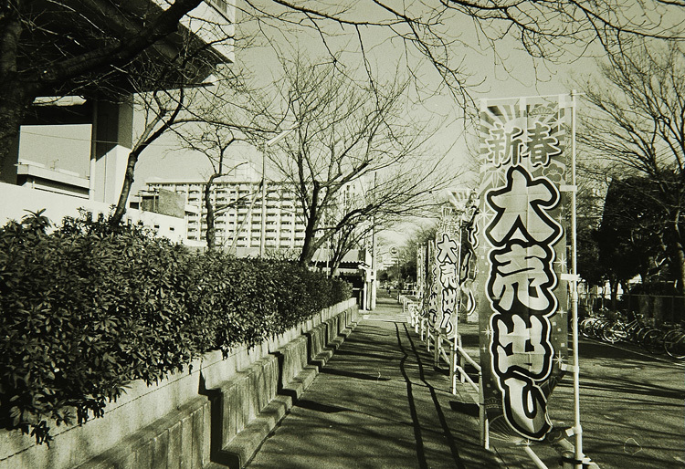 c0381632_12593296.jpg