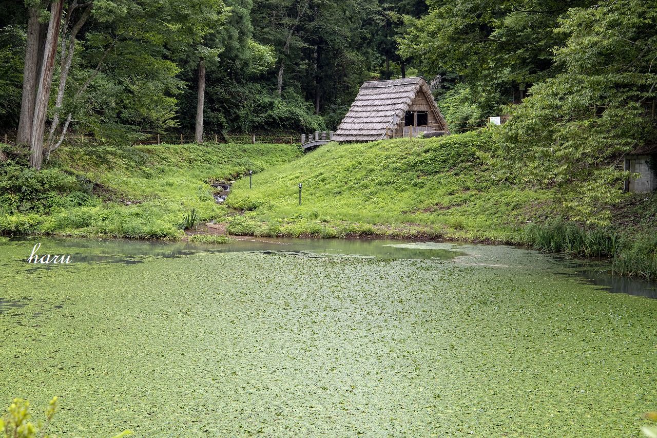 f0297537_11355403.jpg