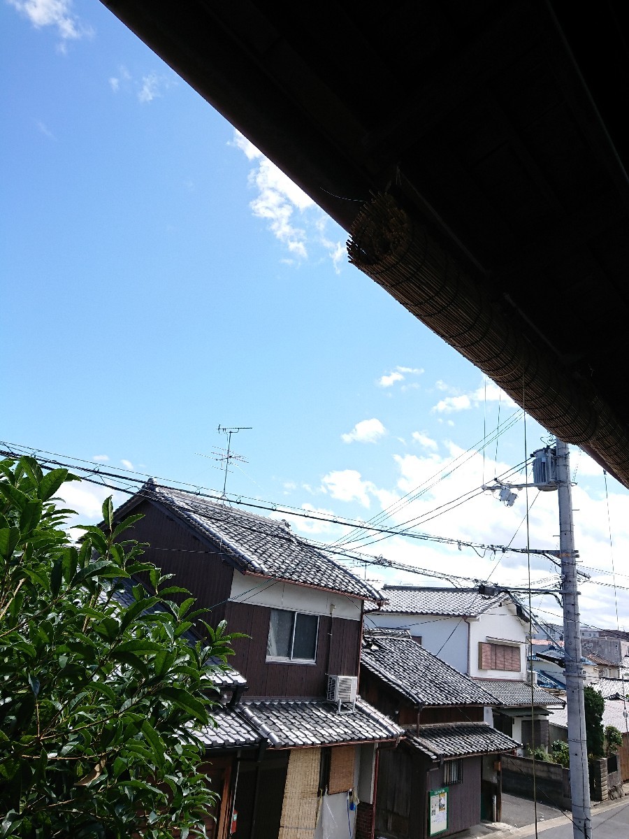 a0116538_12194452.jpg