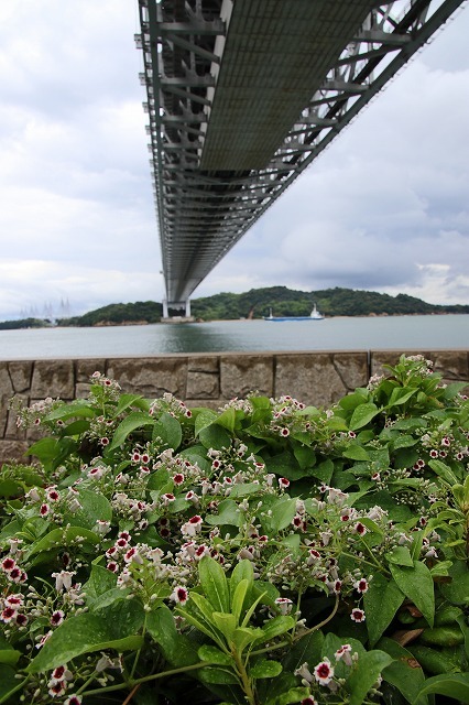 a0242438_22522737.jpg