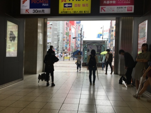 b0330040_16330887.jpeg