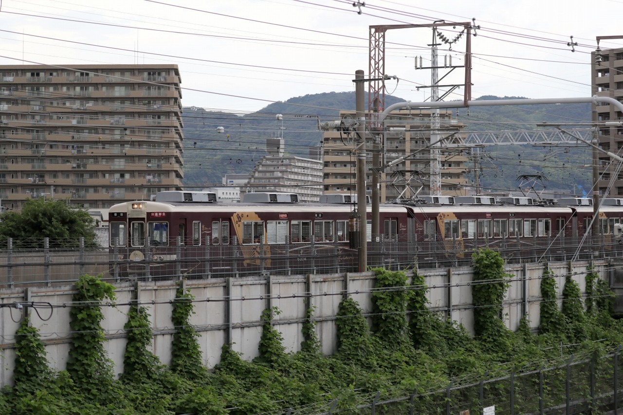 d0313140_20035539.jpg