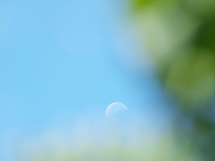 c0281841_22451146.jpg
