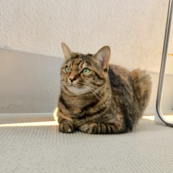 f0372445_10251347.jpeg