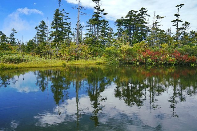 b0122448_22163131.jpg