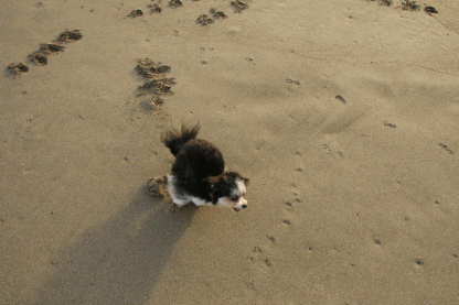 c0145250_09500179.gif