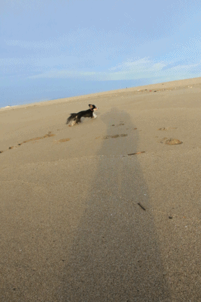 c0145250_15593732.gif