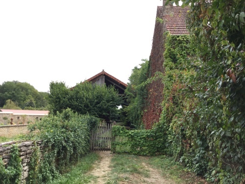 c0175451_19563980.jpeg