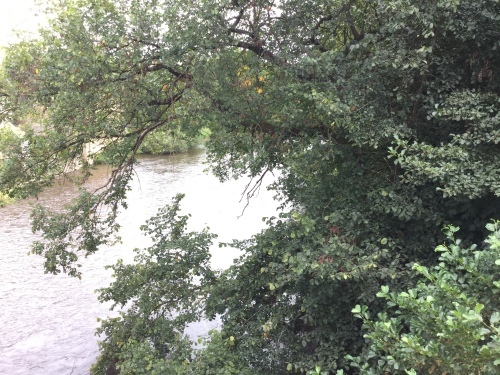 c0175451_19580172.jpeg