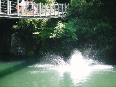 a0254656_20052073.jpg