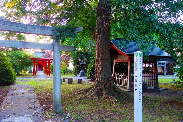 c0248067_09475853.jpg