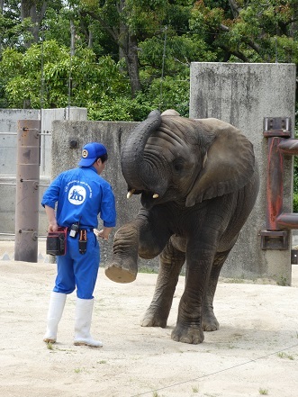 飼育員さんにインタビュー 情報誌マルキーズ18夏号掲載 いきものがたり