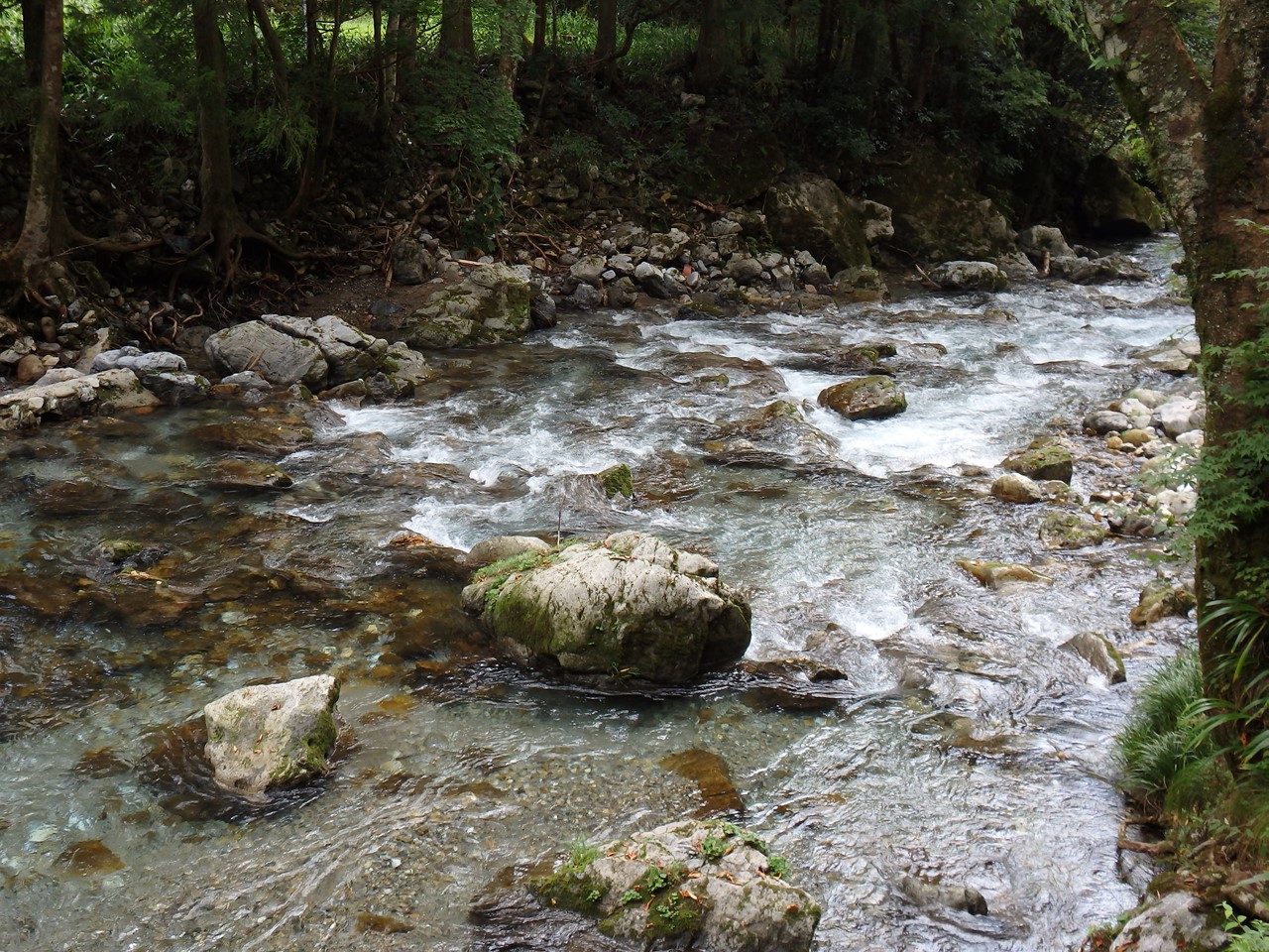 d0054276_20434584.jpg