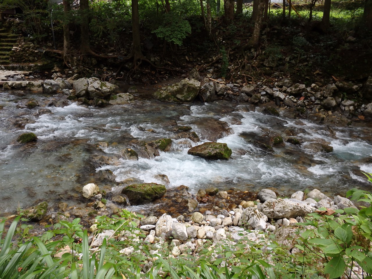 d0054276_20435840.jpg