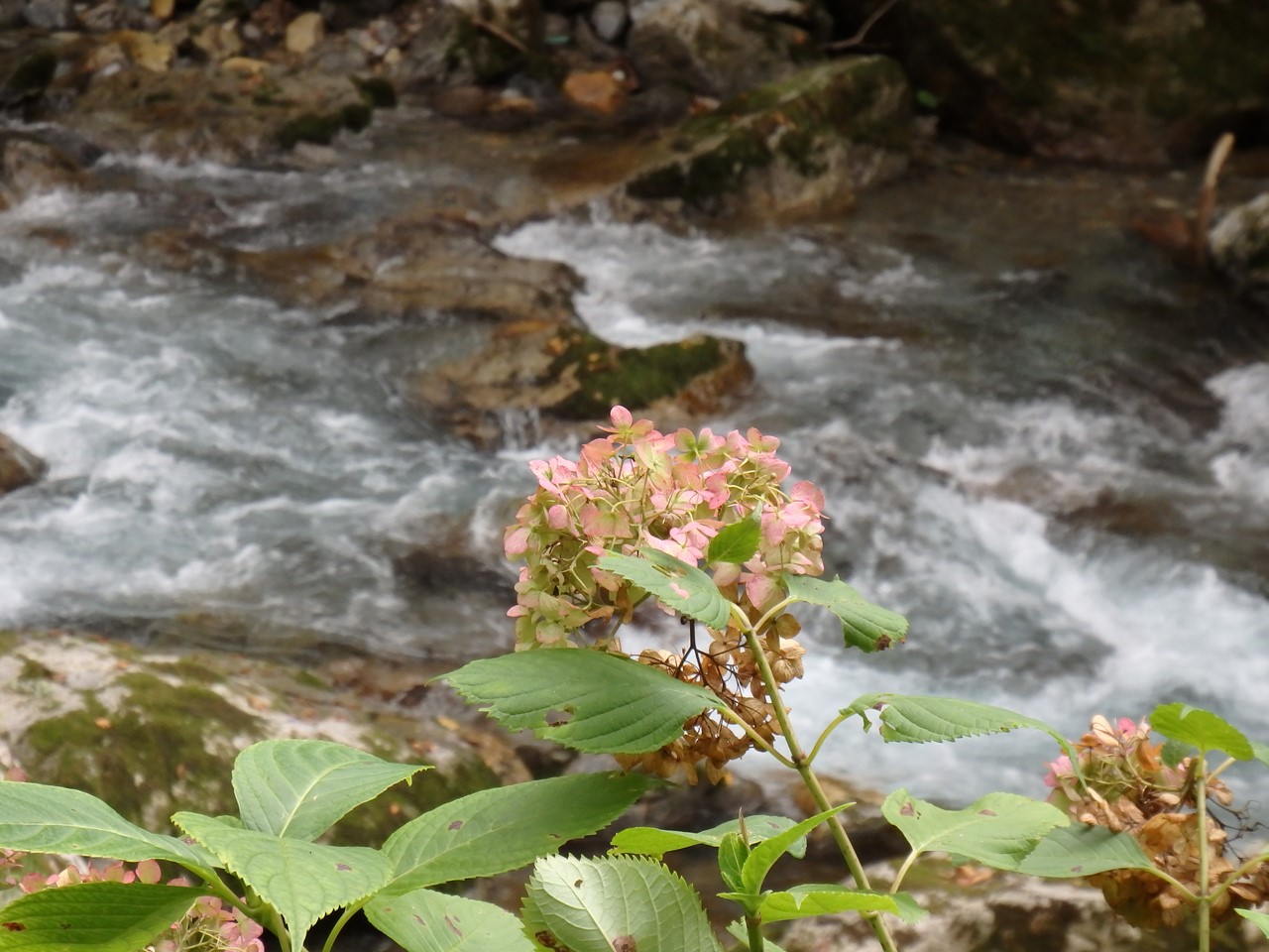 d0054276_20442122.jpg