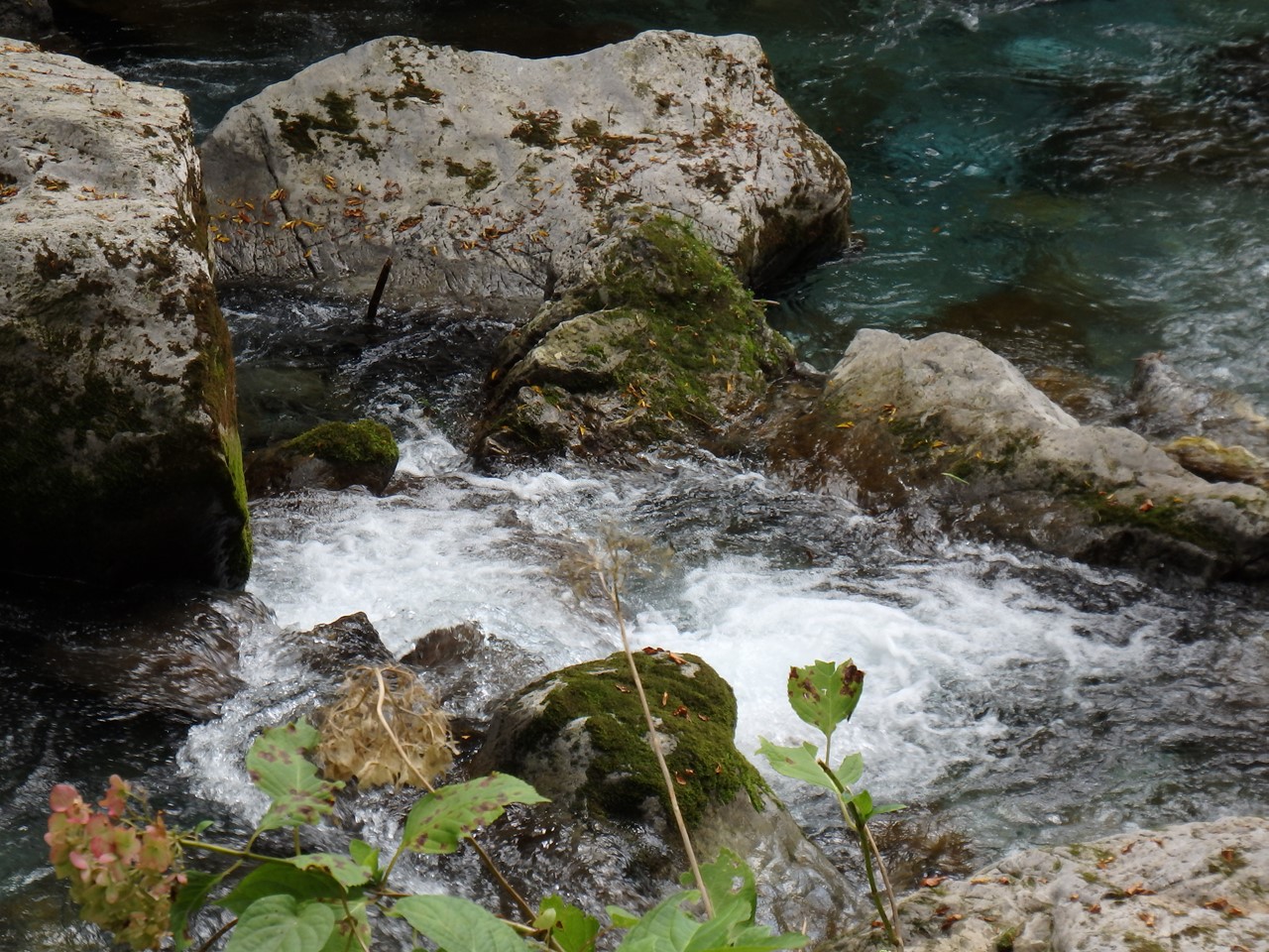 d0054276_20443379.jpg