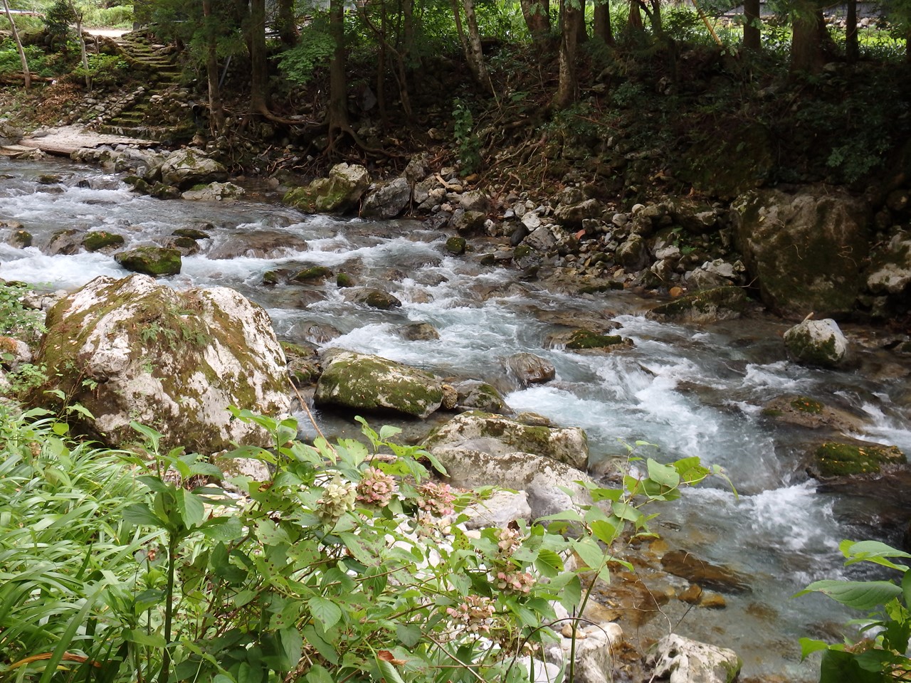 d0054276_20444564.jpg