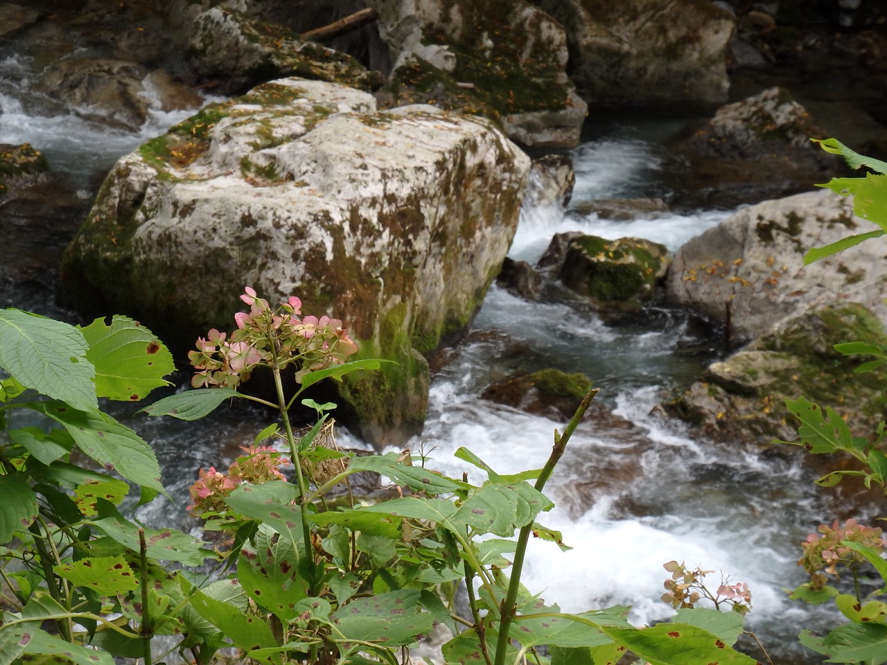 d0054276_20445787.jpg