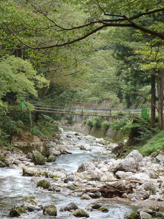 d0054276_20474749.jpg