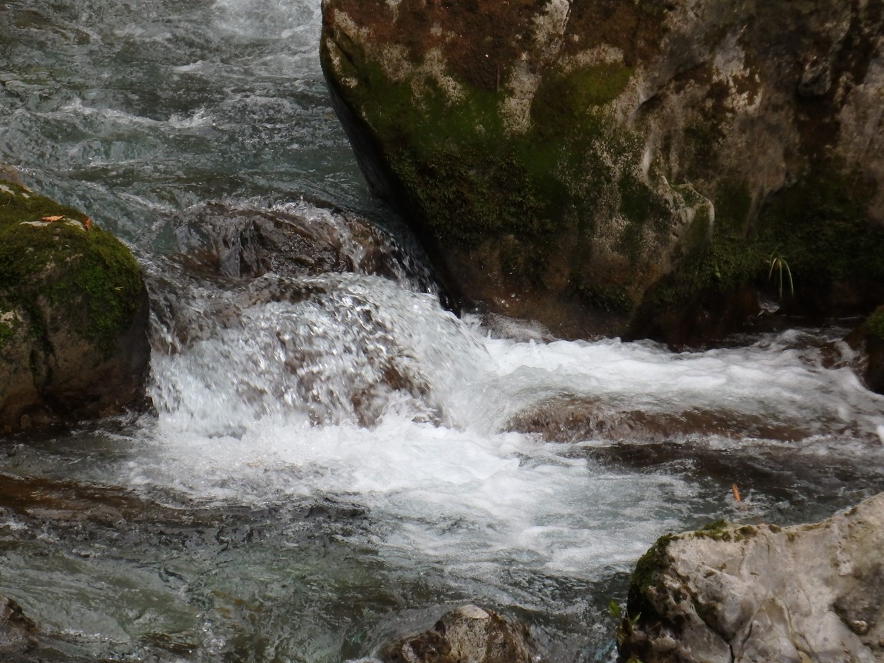 d0054276_20504886.jpg