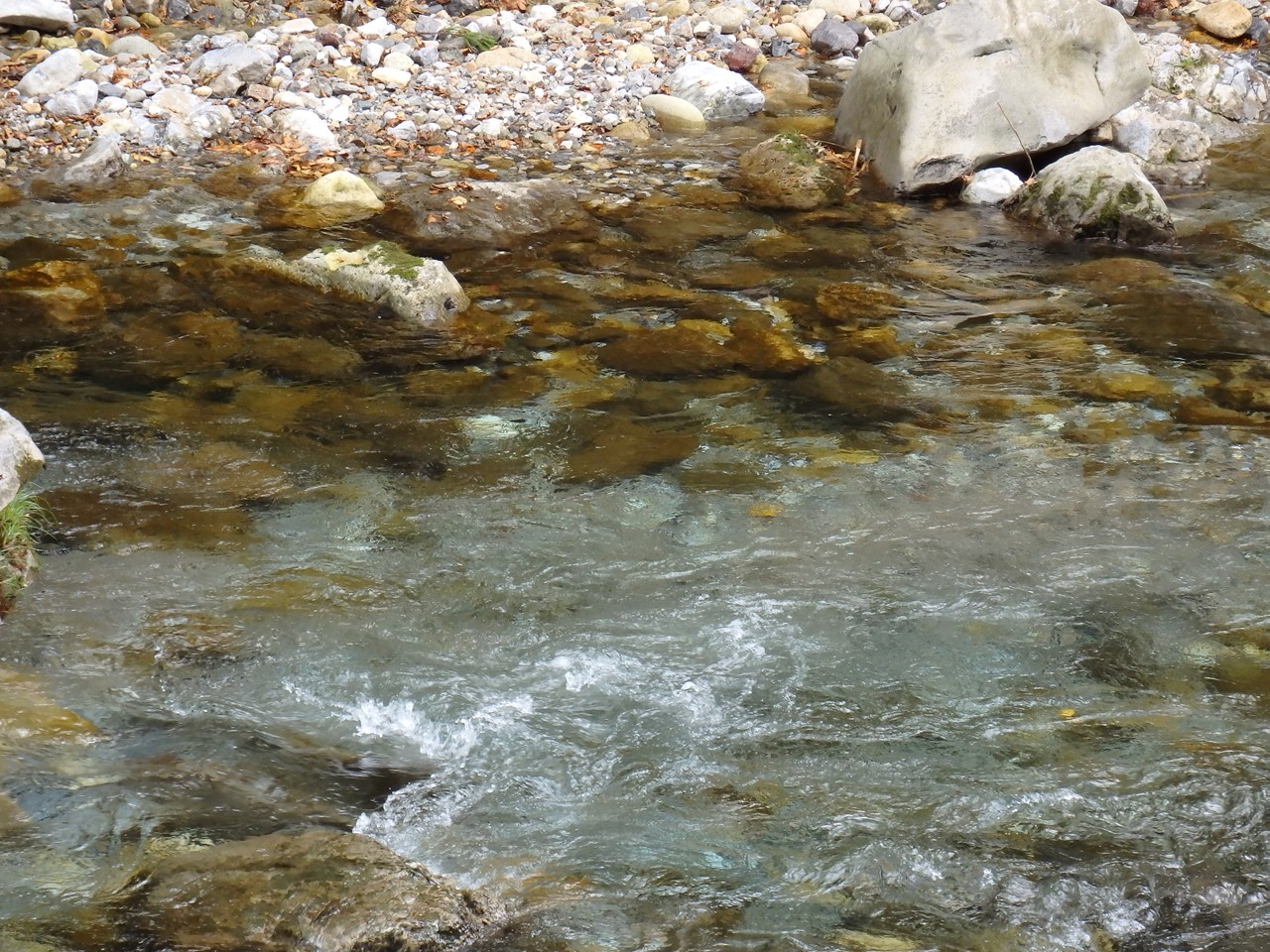 d0054276_20505880.jpg