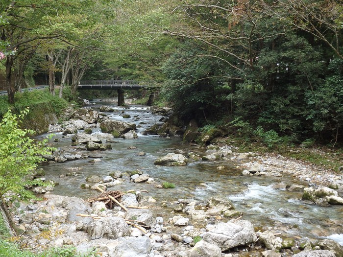 d0054276_2051211.jpg