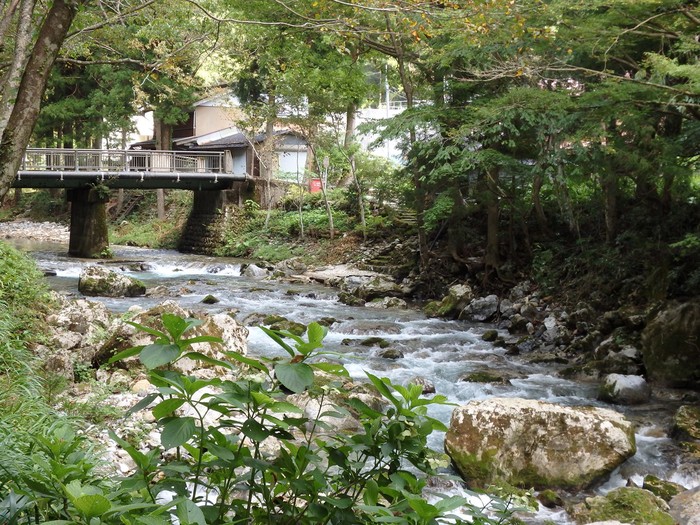 d0054276_20513148.jpg