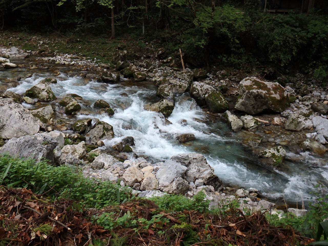 d0054276_20514587.jpg