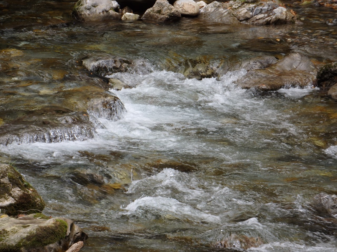 d0054276_20515721.jpg