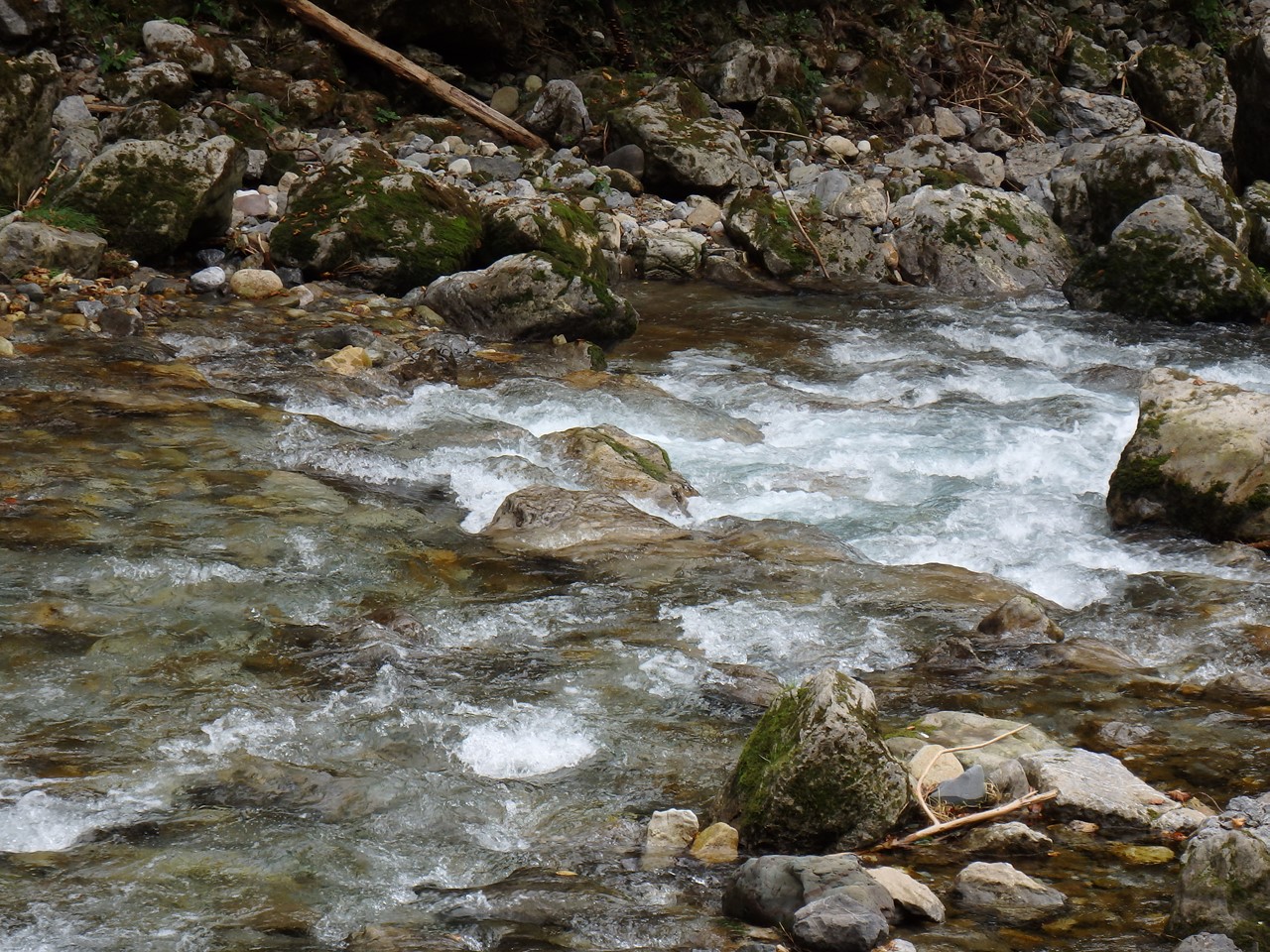 d0054276_2051993.jpg