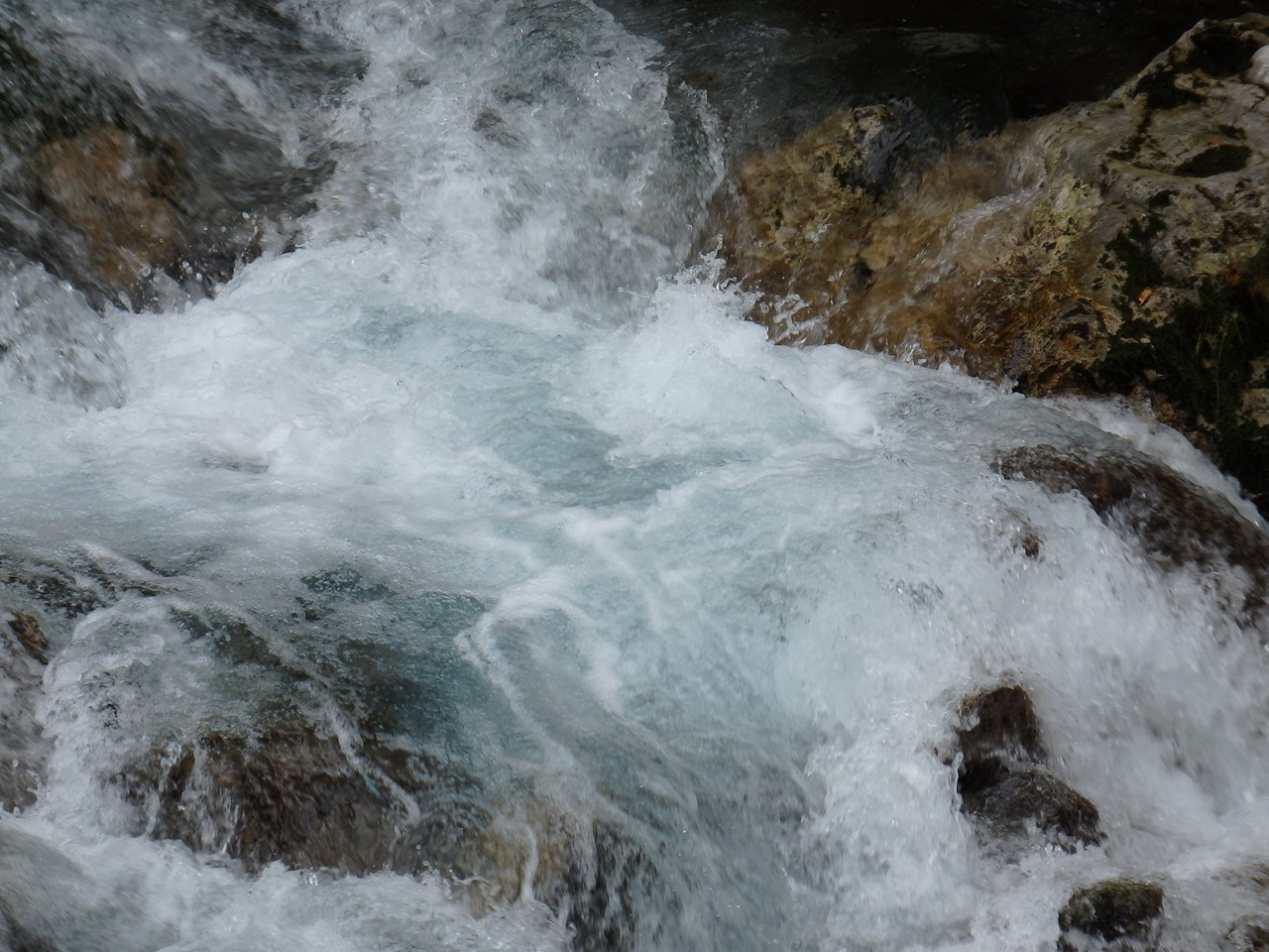 d0054276_20522157.jpg