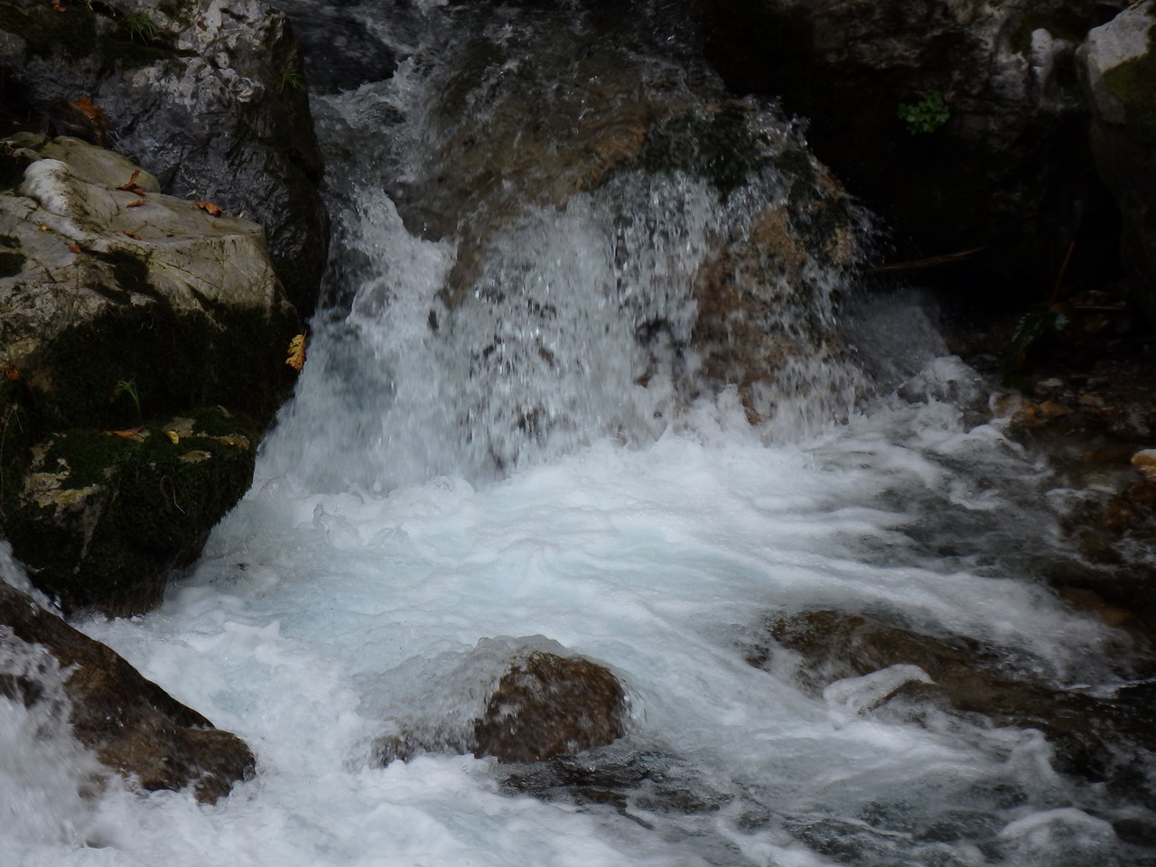 d0054276_20523265.jpg