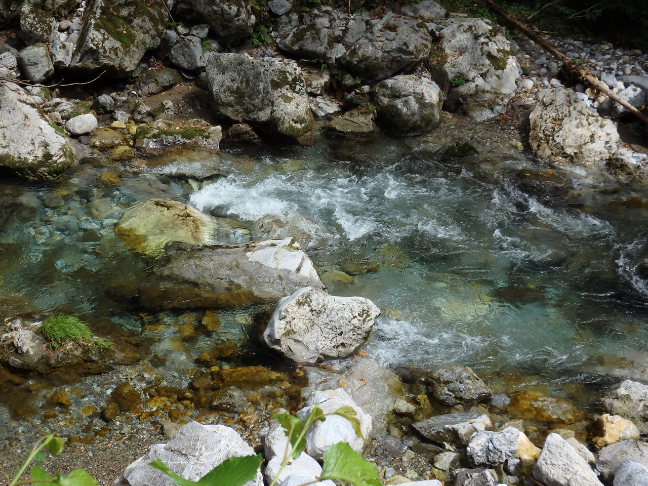 d0054276_20524363.jpg