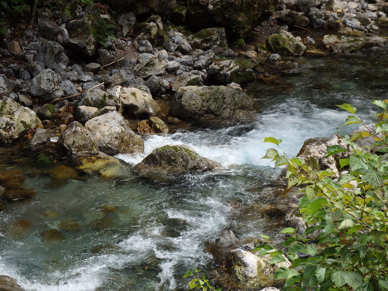 d0054276_20525519.jpg