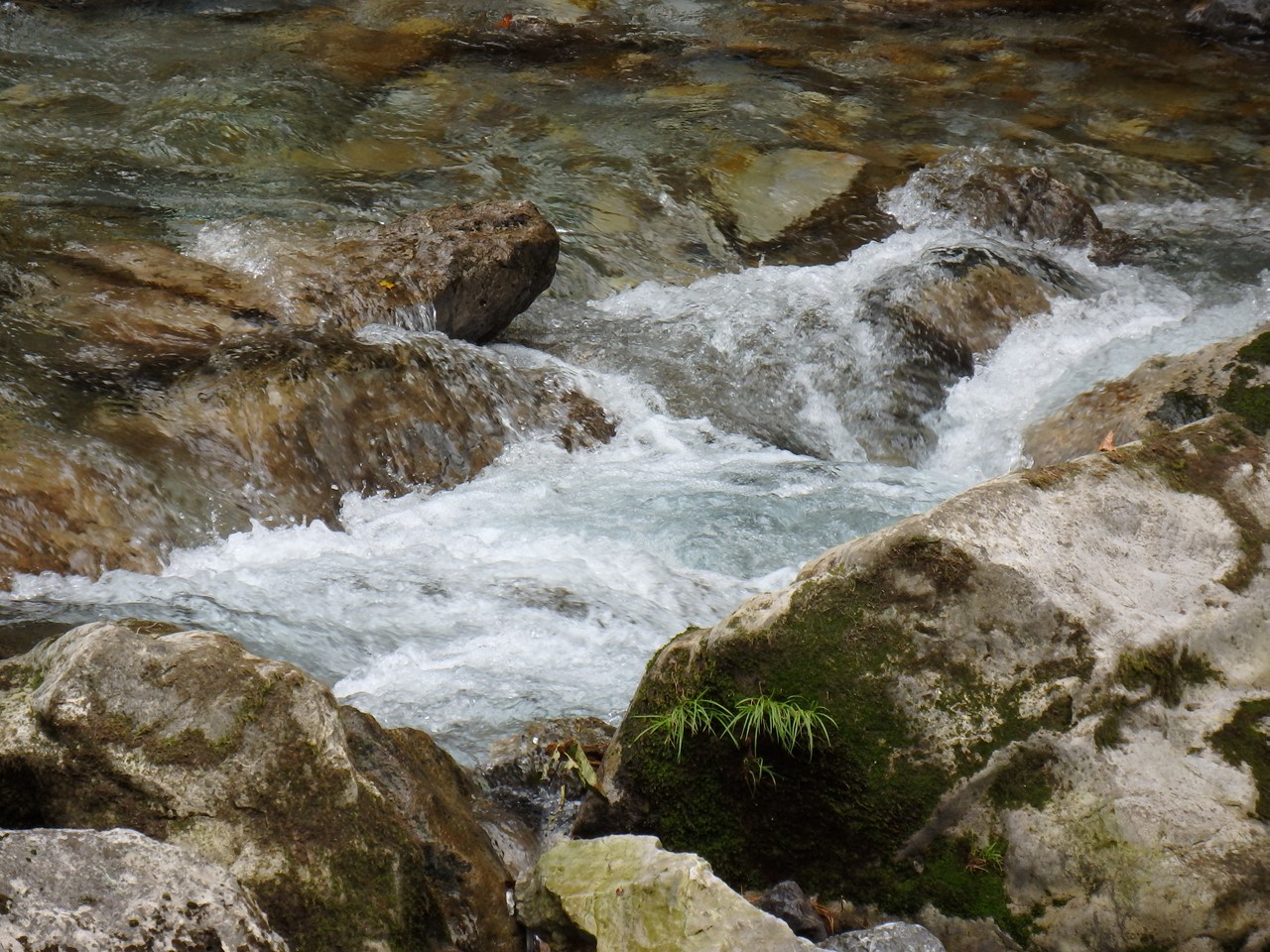 d0054276_2052841.jpg