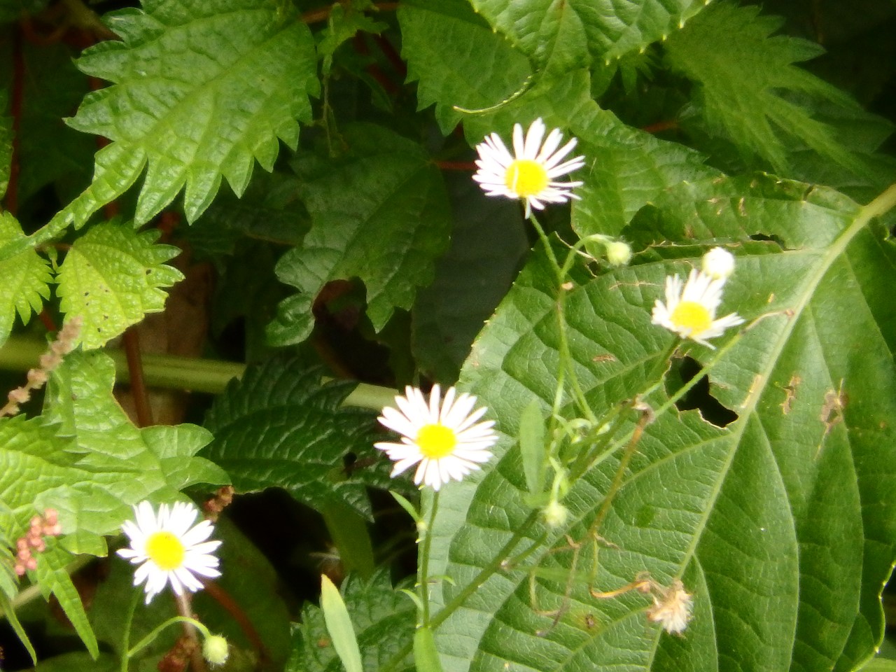 d0054276_20532930.jpg