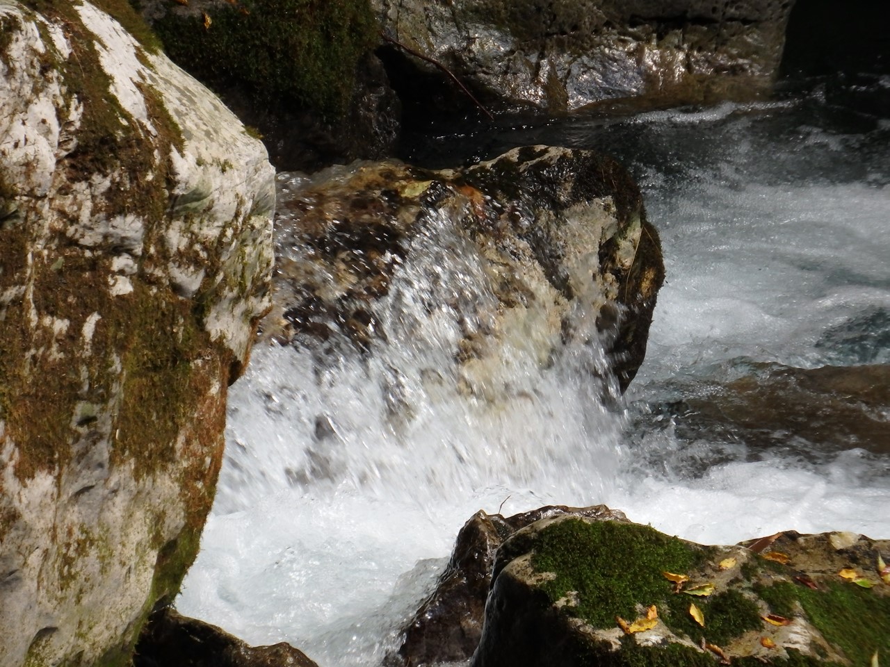 d0054276_20541864.jpg
