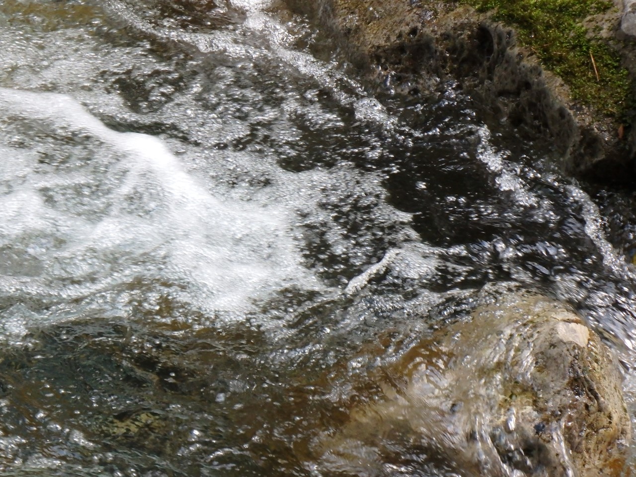 d0054276_20544197.jpg