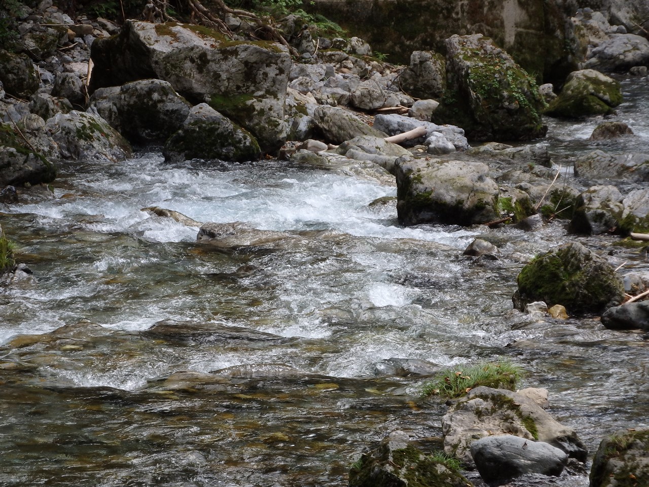 d0054276_205467.jpg