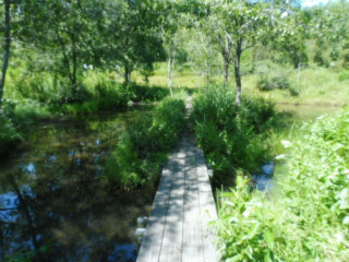 e0046477_14311032.jpg