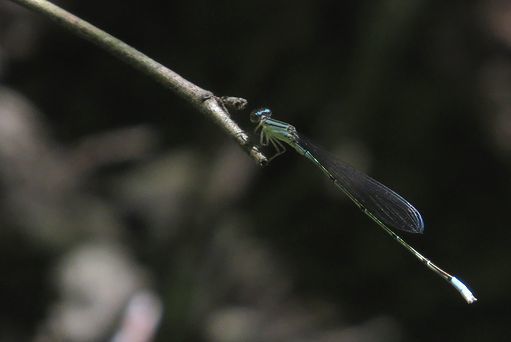 d0020180_09221508.jpg