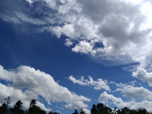 e0027681_20384358.jpg