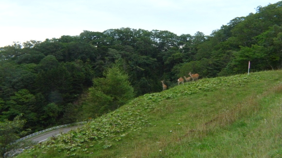 c0212083_18230721.jpg