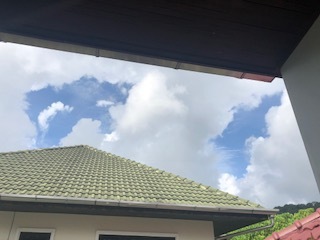いよいよ9月ですね_f0144385_11431825.jpeg