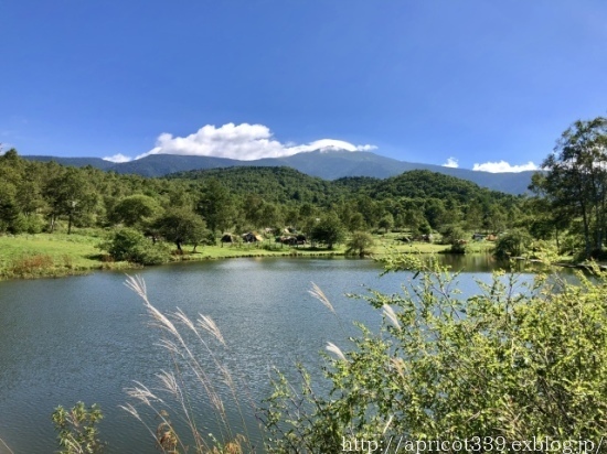 夏の山キャンプで大活躍したモノ_c0293787_14470178.jpeg