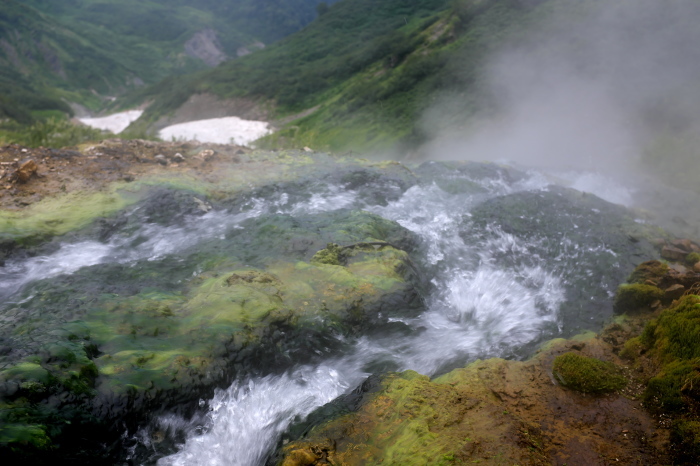 b0339488_23163802.jpg
