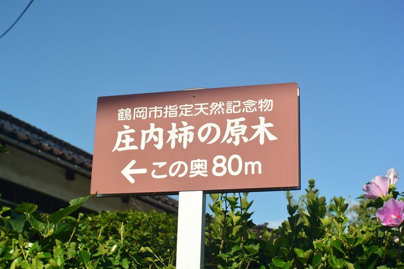 b0207491_18525771.jpg