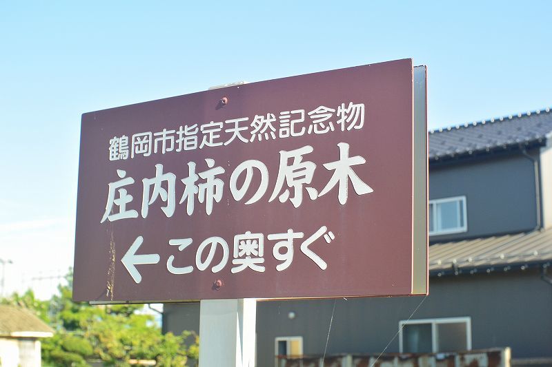 b0207491_18533899.jpg