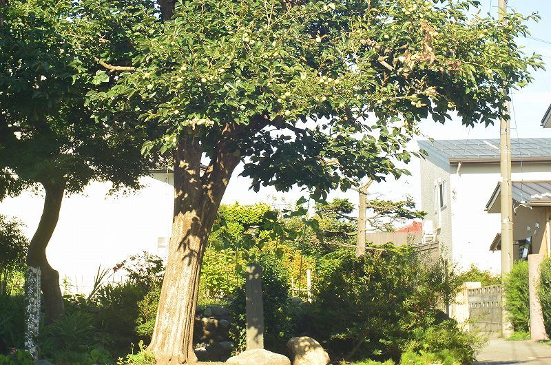 b0207491_18535905.jpg