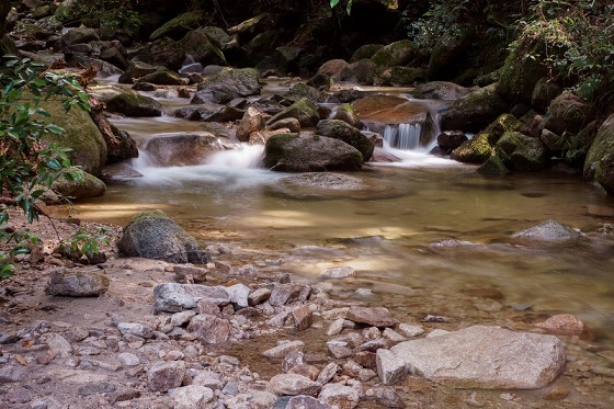 e0176993_11472116.jpg
